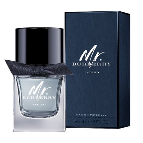 Nước hoa nam Mr Burberry Indigo 